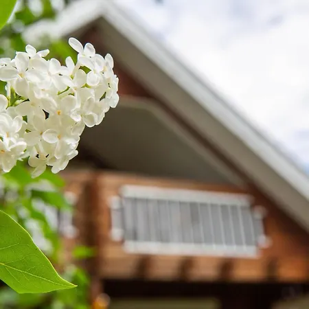 Ranta-lemettilae By Interhome