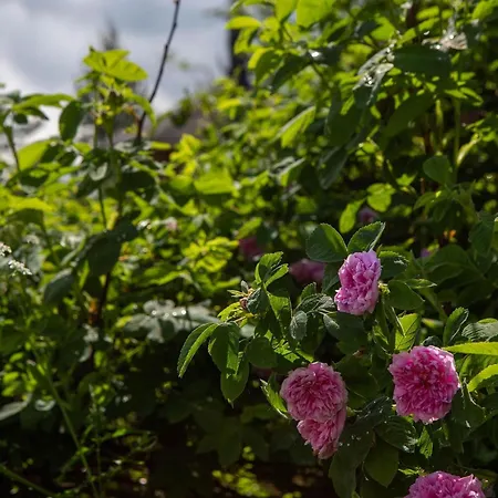 Ranta-lemettilae By Interhome Сasa de vacaciones